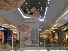 -卓锦曼购中心(国香街店)
