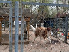 -长白岛森林公园