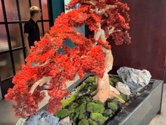-渝乡辣婆婆·川菜 水煮鱼(槐安路店)