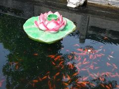 android_upload_pic-碧云寺