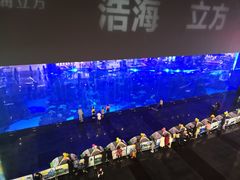 -成都浩海立方海洋公园