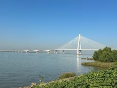 -芒洲湿地公园