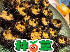 -贵木日本料理·铁板烧(新地假日广场店)