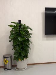 -上海伊莱美医疗美容医院
