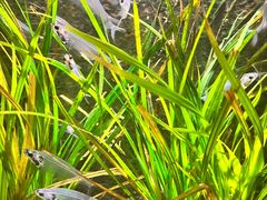 -上海海洋水族馆