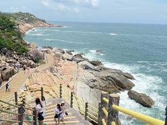 -广东惠东海龟国家级自然保护区