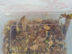 -鸿运兔·手撕烤兔(天府广场店)