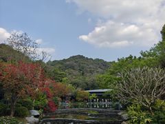 -云溪植物园
