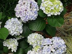 -常州古运河南大街文化旅游区-人民公园