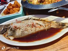 -俭寨大盘芦花土鸡·小公鸡·烧烤新疆菜(云通店)