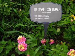 -国家植物园
