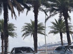 -新金盛·海鲜酒楼(盐田店)
