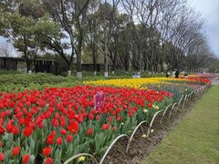 -玄武湖景区-情侣园游乐场