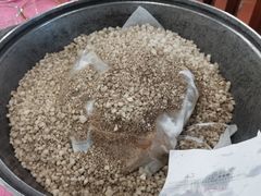 秘制盐焗乳鸽-侠成水上农庄(工业大道店)
