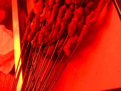 -大漠烤肉(酒泉路店)