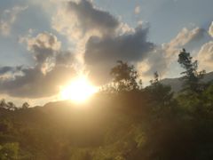 -田心森林公园
