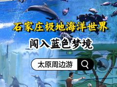 -石家庄极地海洋世界