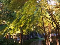 -西湖文化广场
