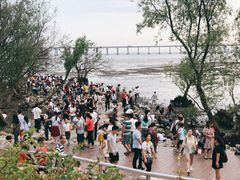 -宝安西湾红树林湿地公园