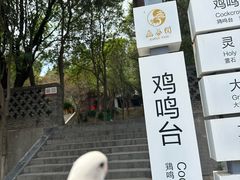 -函谷关历史文化旅游区