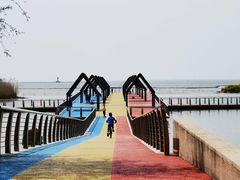 -滆湖低碳生态公园