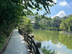 -广州市帽峰山景区