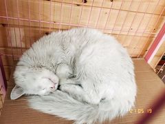 -艺味深尝(云锦路店)