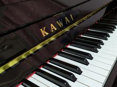 -柏斯音乐艺术中心·钢琴·吉他(世纪金源店)