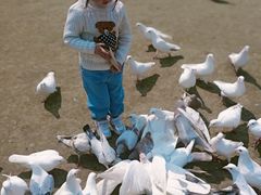 -南通洲际绿博园