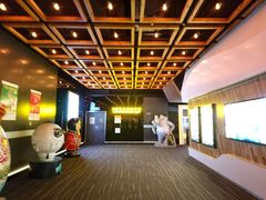 -奥斯卡升龙国际影城(RealD Cinema)