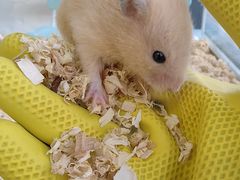 -怪兽屋·羊驼·猫咖·狗咖(俊华广场店)