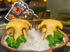 -季季山·云南野生菌火锅(上海首店)