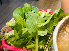 -羊圈(樊洼路店)