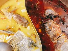 -草墩罗非鱼庄•野生菌•腊排骨(七星街上段店)