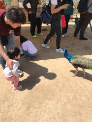 -萌宠亲子动物乐园(槐房万达店)