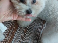 -默迹咖啡馆