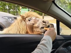 -南京金牛湖风景区