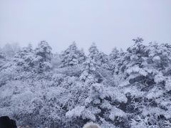 -峨眉山风景名胜区