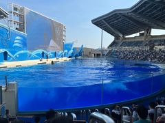 -上海海昌海洋公园