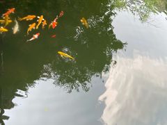 -湖洞水自然风景区
