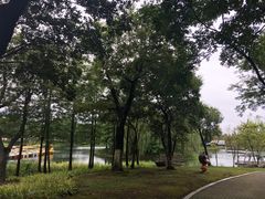 -尚贤河湿地