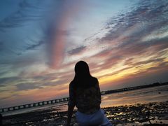 -宝安西湾红树林湿地公园