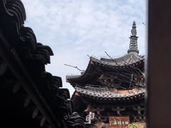 -杭州半山国家森林公园