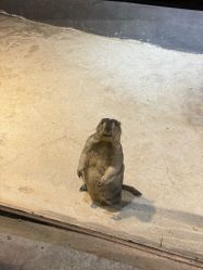 -酷嗒动物文化乐园(cutezoo西溪乐天城店)