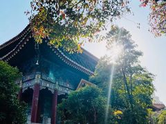-西安大兴善寺