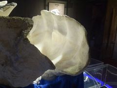 景点-贝壳梦幻世界