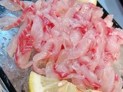 -京门活鱼馆·鱼火锅(百子湾（原红庙）店)