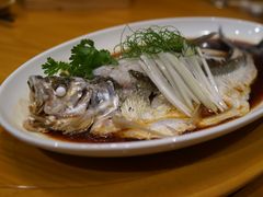 -宁波柏悦酒店·钱湖渔港