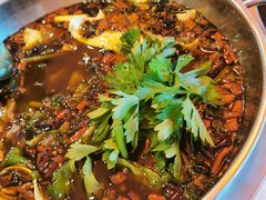 -川道拐耗儿鱼(置信路店)