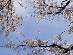-龙美术馆(西岸馆)
